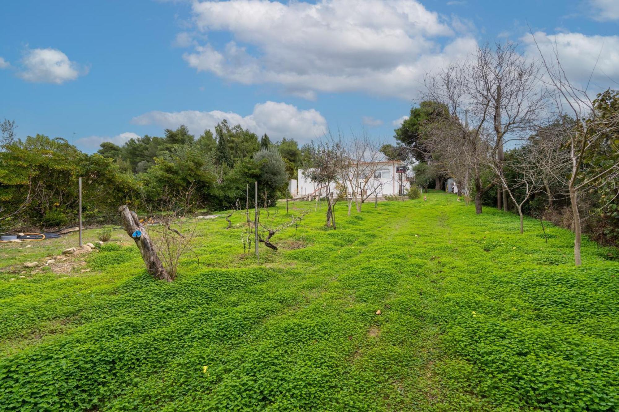 בית הארחה סאסארי 	Filoxenia Di Umberto מראה חיצוני תמונה